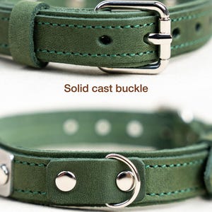 Op de afbeelding: Close-up van een groene leren hondenriem met een massieve gegoten gesp en een D-ring voor de riem. De halsband heeft groene stiksels en zilverkleurige hardware. De tekst "Solid cast buckle" en "D-ring for leash" zijn zichtbaar.