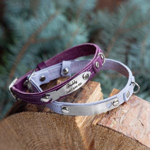 Cute Leather Cat Collar with Engraved Name Plate – Personalized, Comfortable, and Stylish Gift for Your Fluffy Kitty