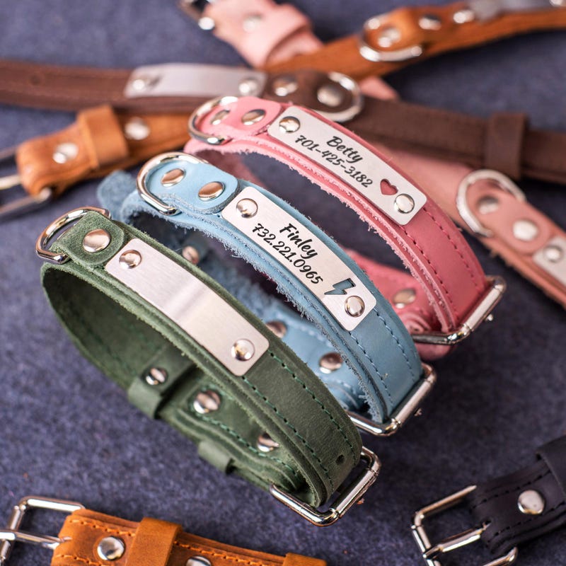 Engraved Dog Collar - Etsy