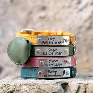 No Jingle Leather Pet Collar, Engraved Nameplate, AirTag Holder afbeelding 17