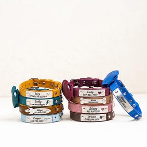 Op de afbeelding: Een stapel gepersonaliseerde leren hondenhalsbanden in diverse kleuren, waaronder geel, blauwgroen, bruin en blauw. Elke halsband heeft een metalen naamplaatje met de naam en contactgegevens van de hond.