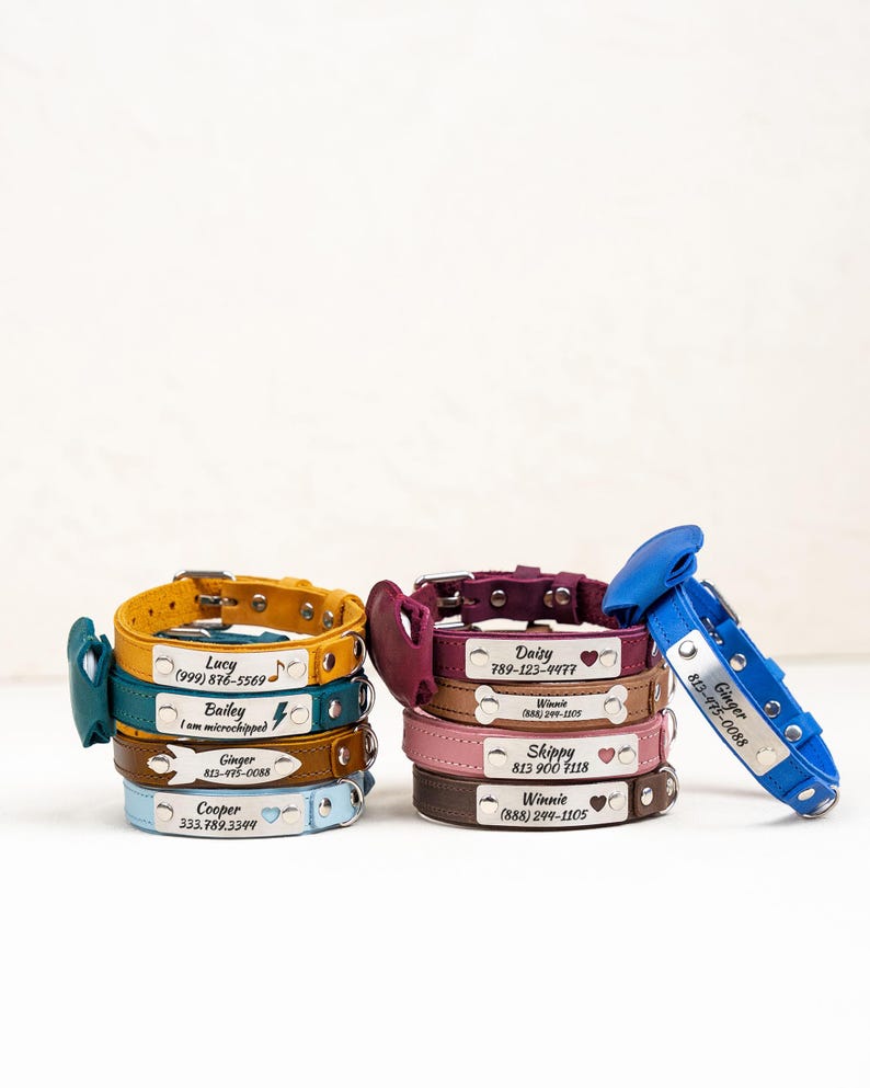 Op de afbeelding: Een stapel gepersonaliseerde leren hondenhalsbanden in diverse kleuren, waaronder geel, blauwgroen, bruin en blauw. Elke halsband heeft een metalen naamplaatje met de naam en contactgegevens van de hond.