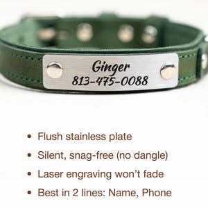 Op de afbeelding: Een groene leren hondenhalsband met een roestvrijstalen naamplaatje. Op het naamplaatje staat "Ginger" en een telefoonnummer. De halsband heeft zilveren klinknagels en een gesp.