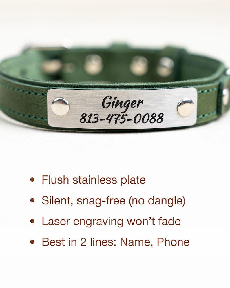 Op de afbeelding: Een groene leren hondenhalsband met een roestvrijstalen naamplaatje. Op het naamplaatje staat "Ginger" en een telefoonnummer. De halsband heeft zilveren klinknagels en een gesp.