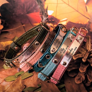May include: Four leather dog collars with personalized metal tags. The tags include the names "Lily", "Buddy", "Lily", and "Simba" with corresponding phone numbers.