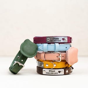 Op de afbeelding: Een stapel kleurrijke leren hondenhalsbanden in verschillende tinten, waaronder bordeauxrood, lichtblauw, roze, geel en bruin. Elke halsband heeft een metalen naamplaatje met een naam en telefoonnummer. E&eacute;n groene halsband is los.