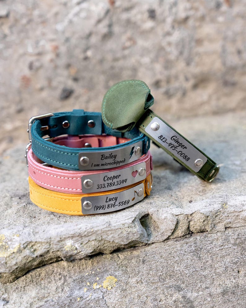 Op de afbeelding: Een stapel kleurrijke dierenhalsbanden in teal, roze en geel, elk met een zilveren naamplaatje. De teal halsband heeft de naam "Bailey" en een bliksemschicht. De roze halsband heeft "Cooper" en een hart. De gele halsband heeft "Lucy" en een muzieknoot.