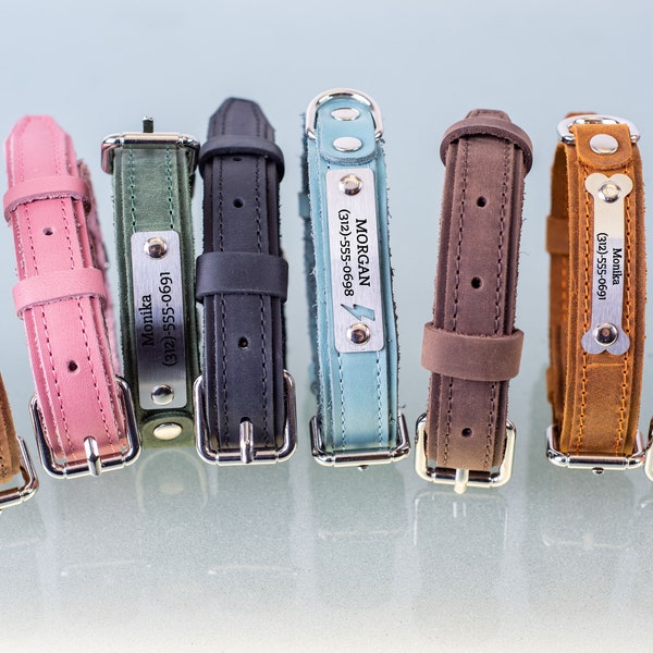 Beirui Personalized Dog Collar with Name Plate - Fashion