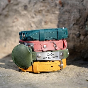 Op de afbeelding: Een stapel van vier leren hondenhalsbanden in de kleuren teal, roze, olijfgroen en geel. De olijfgroene halsband heeft een metalen naamplaatje met de inscriptie "Daisy" en een telefoonnummer. Elke halsband heeft een metalen gesp en stiksels.