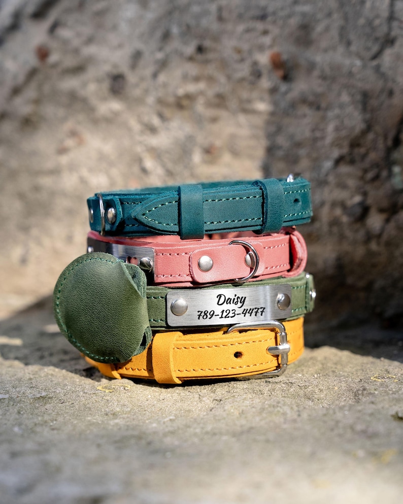 Op de afbeelding: Een stapel van vier leren hondenhalsbanden in de kleuren teal, roze, olijfgroen en geel. De olijfgroene halsband heeft een metalen naamplaatje met de inscriptie "Daisy" en een telefoonnummer. Elke halsband heeft een metalen gesp en stiksels.
