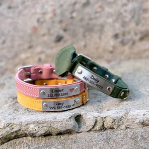 Op de afbeelding: Drie gepersonaliseerde hondenhalsbanden van roze, gele en groene leer. Elke halsband heeft een zilveren naamplaatje met een naam en telefoonnummer. De roze halsband heeft een hartsymbool en de gele halsband heeft een muzieksymbool.