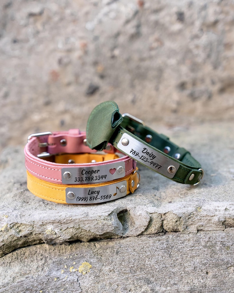 Op de afbeelding: Drie gepersonaliseerde hondenhalsbanden van roze, gele en groene leer. Elke halsband heeft een zilveren naamplaatje met een naam en telefoonnummer. De roze halsband heeft een hartsymbool en de gele halsband heeft een muzieksymbool.