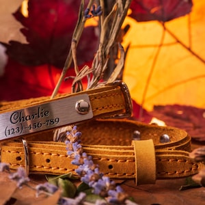 Leather Cat Collar with Name, Personalized Cat Collar, Engraved Custom Cat Collar image 9