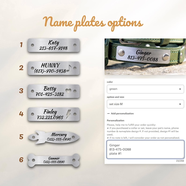 Op de afbeelding: Een selectie van gepersonaliseerde metalen naamplaatjes voor huisdieren, met opties voor tekst en ontwerp. Voorbeelden zijn plaatjes met namen en telefoonnummers, en plaatjes in de vorm van een raket of een bot. De afbeelding toont ook een groene dierenhalsband.