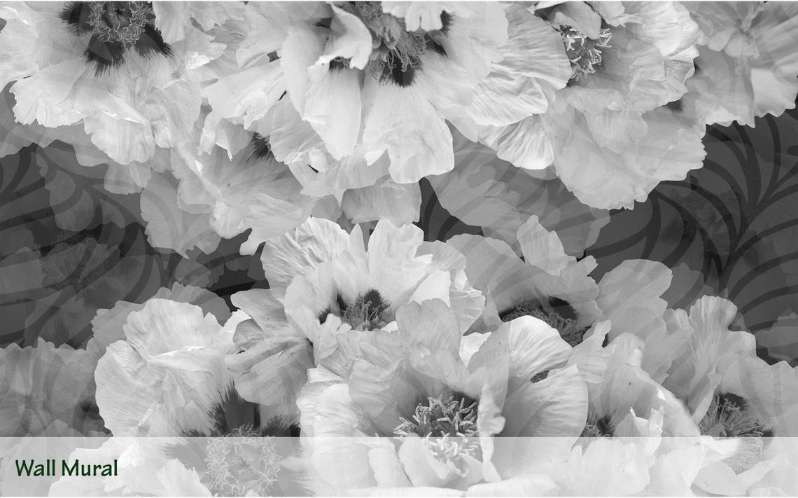 Peony Black and White Wallpaper Floral Flowers Wall Decor | Etsy