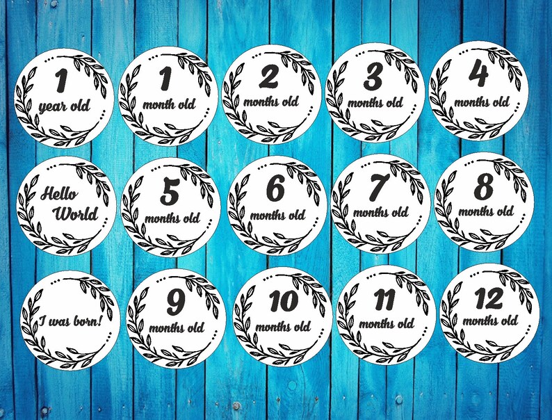Download Baby Milestone Cards SVG laser template milestone 12 month ...