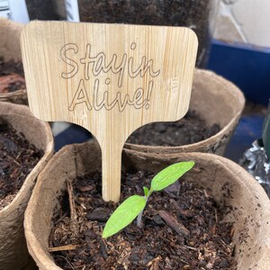 Funny Vegetable Herb Garden Plant Tag, Two Sided, Eco Friendly, Fully Customizable, Laser Engraved Garden Marker