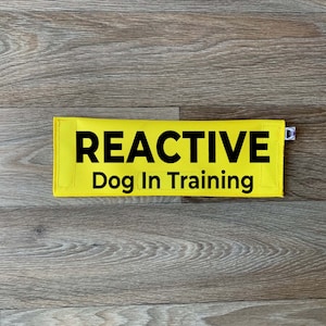 Dog Leash Sleeve | Reactive Dog In Training | Lead Cover