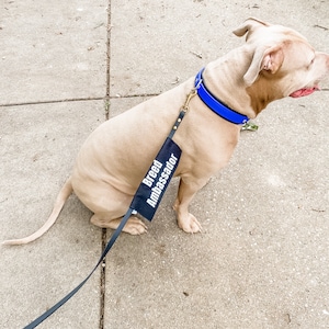 Don&#39;t Bully My Breed | Breed Ambassador | Bully Breed | Leash Sign