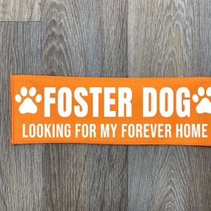 Dog Leash Sleeve | Foster Dog | Lead Cover | Leash Sign