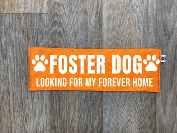 Foster Dog Leash Sleeve: Waterproof Canvas Lead Cover