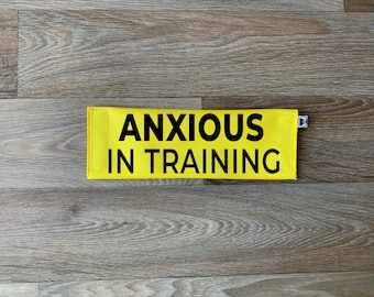 Hondenriemhoes | Angstig tijdens training | Loodhoes | Teken riem