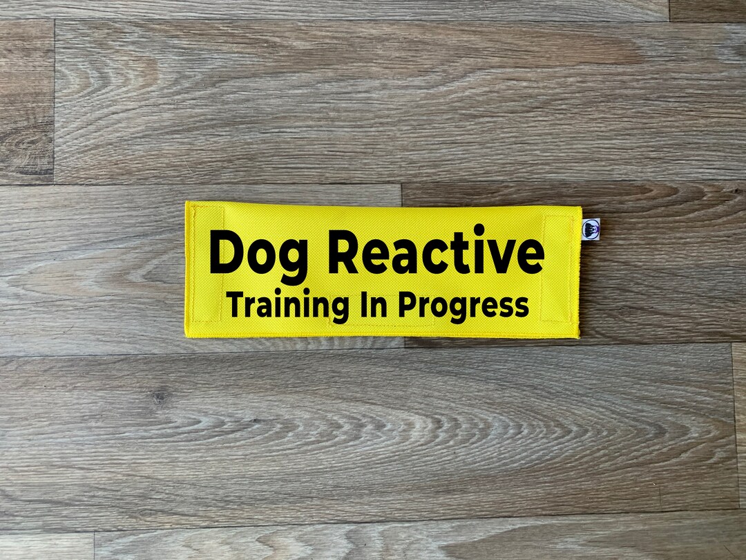 Dog Leash Sleeve Dog Reactive Training in Progress Lead Cover Leash