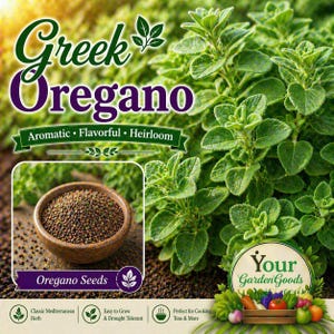 May include: Image of Greek oregano with the text "Aromatic, Flavorful, Heirloom." A wooden bowl of oregano seeds is shown, along with fresh oregano plants. The text "Oregano Seeds" is also visible.