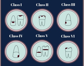 Tooth numbering system diagram svg png jpeg ai pdf dental dentistry jaw dent dentalschool dentaloffice dentalworld illustration mouth tooth