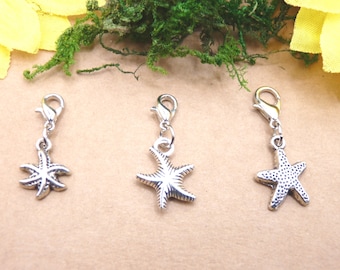 Seestern, Anhänger mit Karabiner, meist fünfarmiger Seestern, Eleutherozoen, Gruppe Stachelhäuter, See, Urlaub, Meer, Meerestier