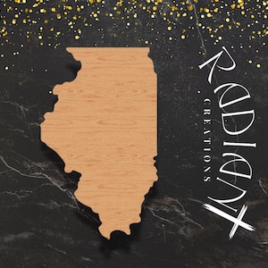Large Illinois State Wood Cutout for DIY Craft Projects, Customizable Illinois Wall Art, Rustic State Decor, USA State Wood Cutouts