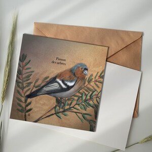 Carte illustrée - Pinson des arbres