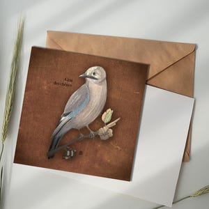 Carte illustrée - Geai des chênes