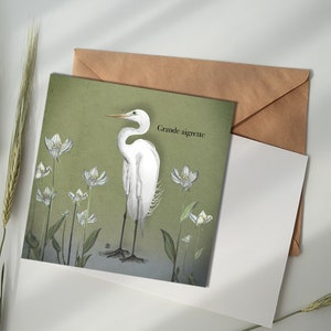 Carte illustrée - Grande Aigrette
