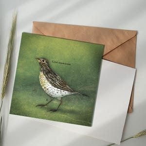 Carte illustrée - Grive musicienne