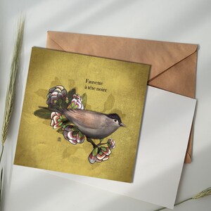 Carte illustrée - Fauvette à tête noire