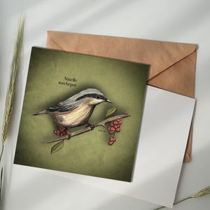 Carte illustrée - Sittelle torchepot