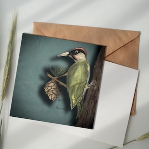 Carte illustrée - Pic-Vert