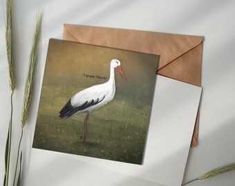 Illustrated card - White stork