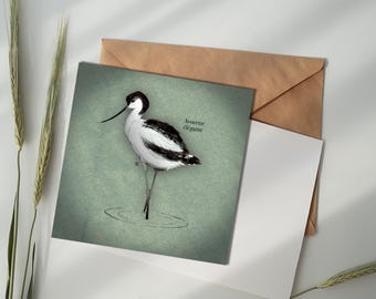 Carte illustrée - Avocette élégante
