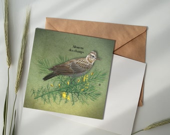 Carte illustrée - Alouette des champs