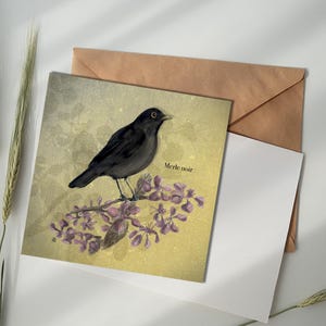 Carte illustrée - Merle noir
