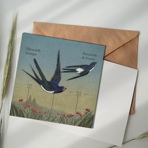 Carte illustrée - Hirondelle rustique / Hirondelle de fenêtre