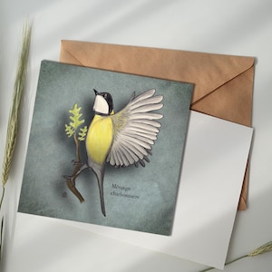Carte illustrée - Mésange charbonnière