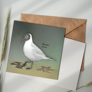 Carte illustrée - Mouette rieuse