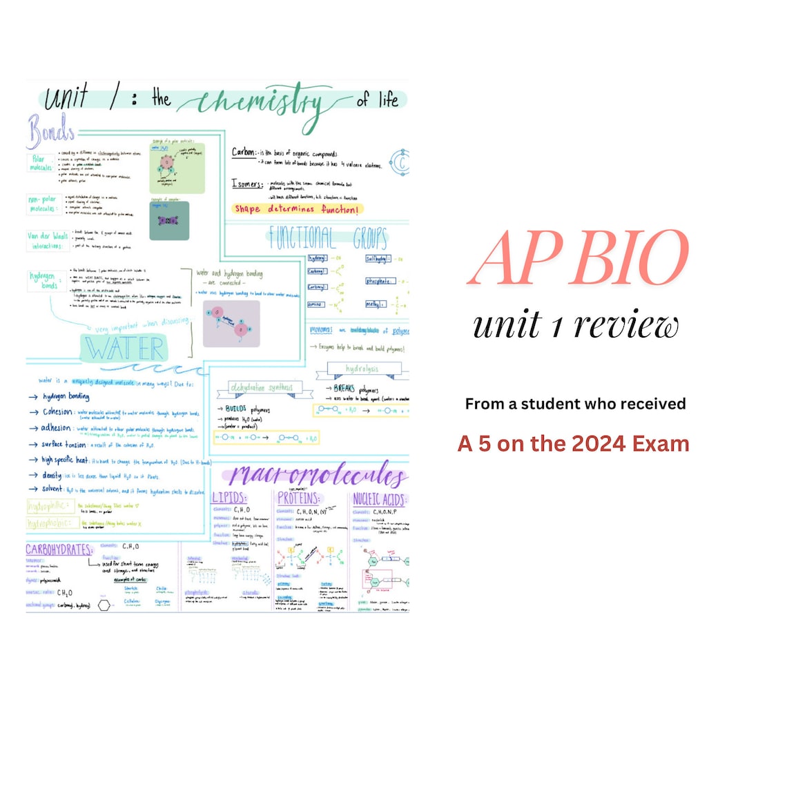 AP BIOLOGY Unit 1 Study Guide From a Student Who Received a 5, Ap Bio ...