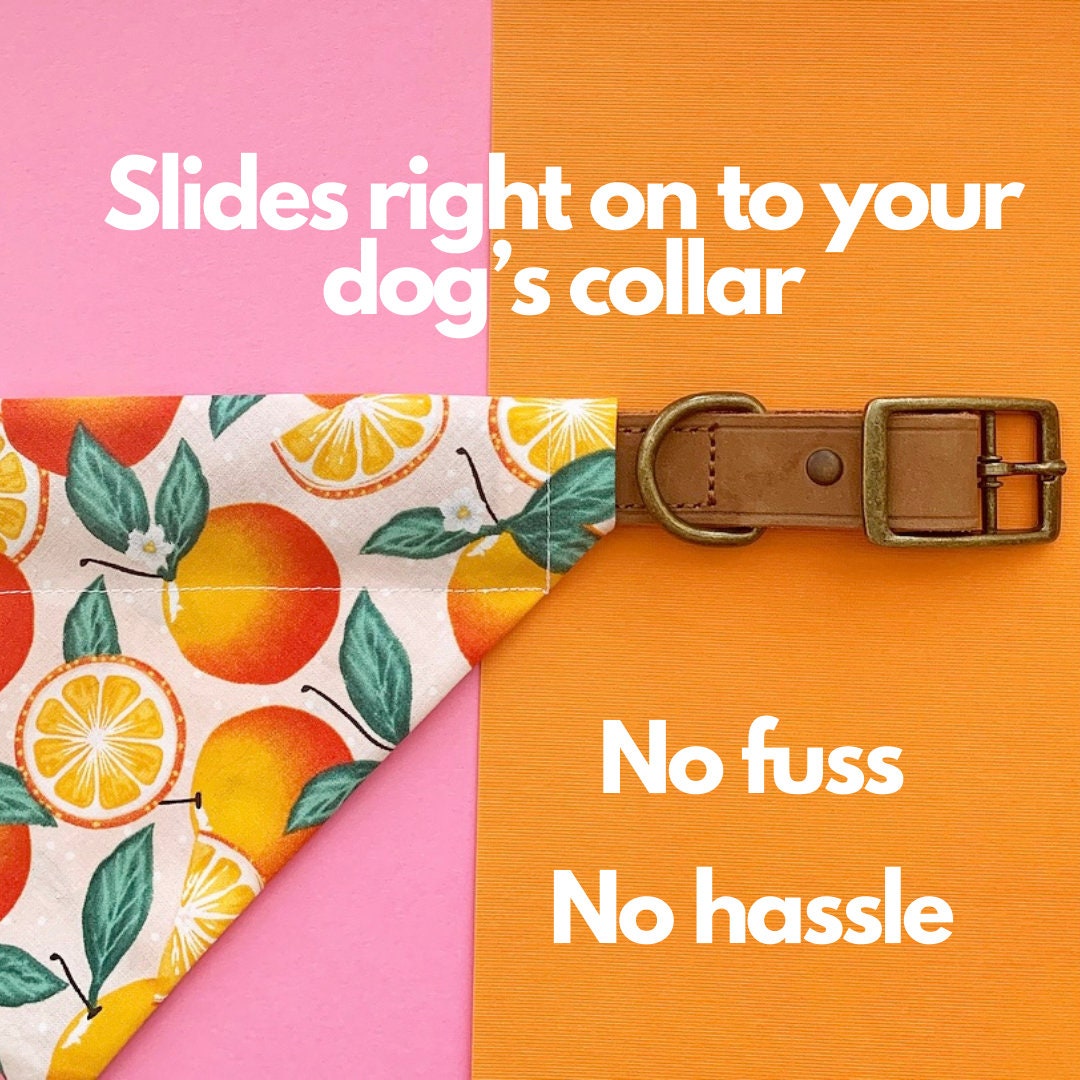 Clementine Orange Citrus Hund Bandana über dem Kragen Hund Etsy