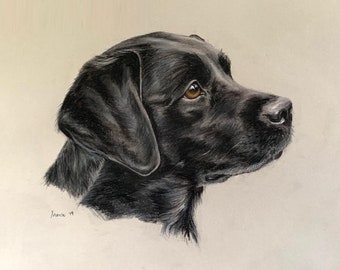 Custom Dog Portraits, portrait commissions, bespoke drawing, pastel portraits, personalised portraits, gifts for dog lovers, pet portraits