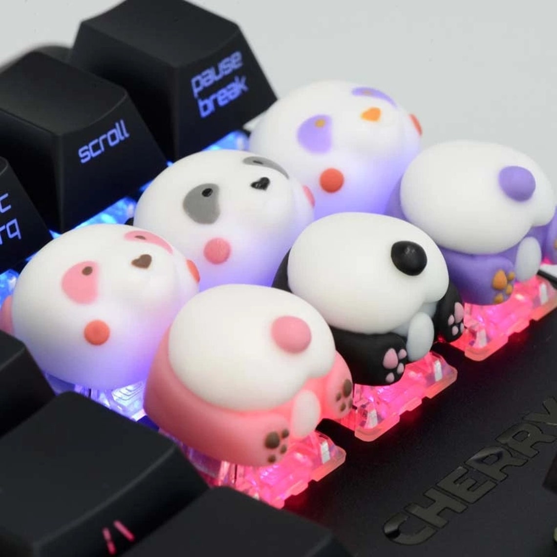 panda dome key panda dome key