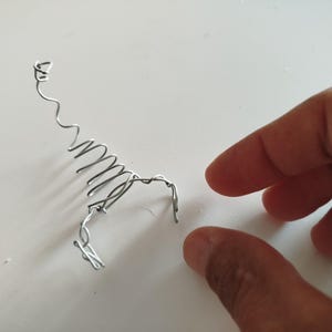 Small scorpion in Steel wire